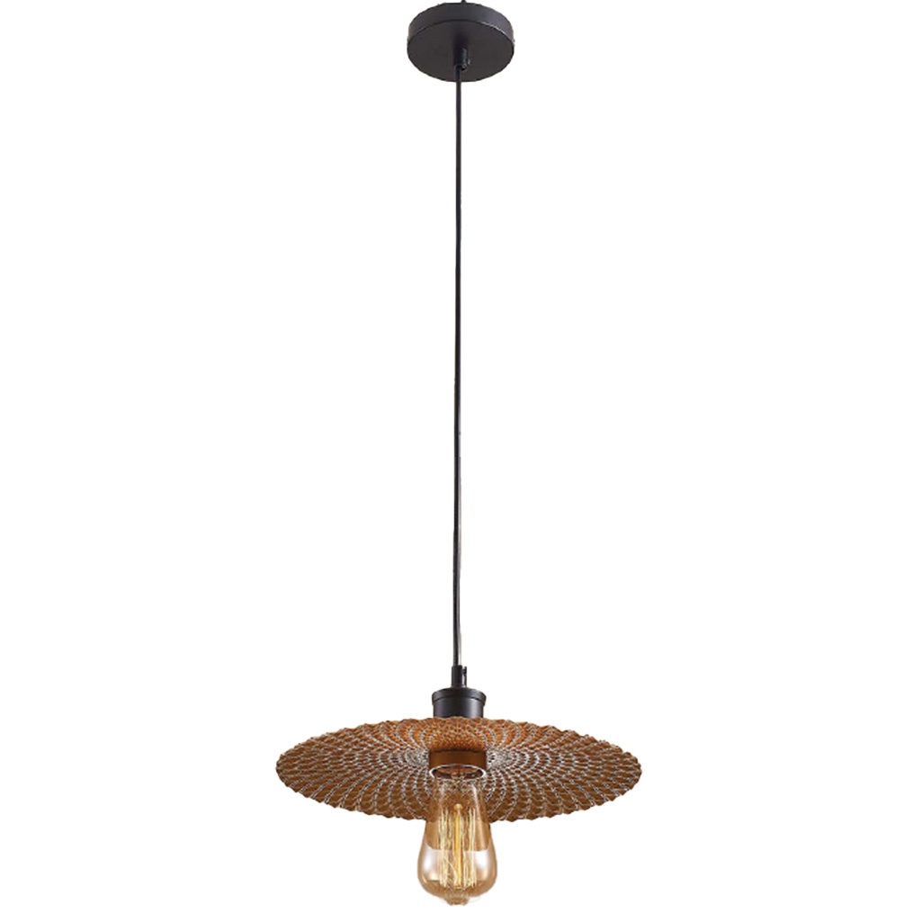 brushed brass pendant light